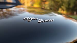 Image 12/51 of Alfa Romeo 1600 Spider Duetto (1966)