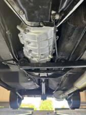 Bild 70/80 von Alfa Romeo Giulia 1600 Spider (1964)