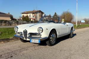 Bild 1/28 von Alfa Romeo Giulietta Spider (1961)