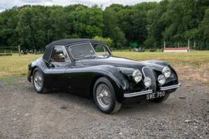 Bild 32/49 von Jaguar XK 120 DHC (1954)
