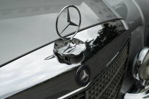 Image 37/95 of Mercedes-Benz 280 SE 3,5 (1970)