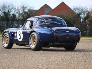 Image 3/19 de AC Cobra 289 (1964)