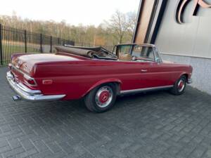 Image 8/36 of Mercedes-Benz 280 SE (1969)