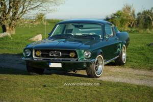 Afbeelding 2/30 van Ford Mustang 390 GTA (1967)