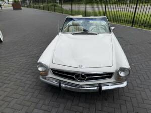 Image 6/50 of Mercedes-Benz 280 SL (1969)