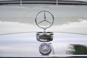 Bild 49/50 von Mercedes-Benz 280 SE (1973)