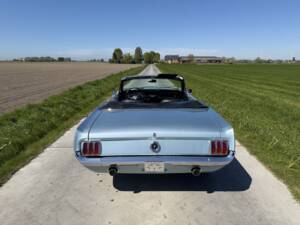 Bild 56/99 von Ford Mustang 289 (1965)