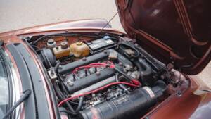 Image 24/34 of Alfa Romeo Spider Veloce 2000 (1980)