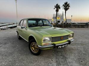 Image 1/8 of Peugeot 504 (1979)
