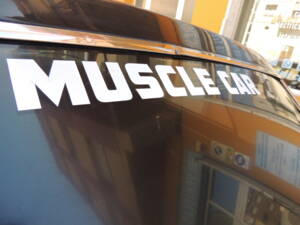 Image 37/54 of Ford Galaxie 500 (1965)