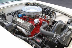 Image 19/40 of Ford Thunderbird (1955)