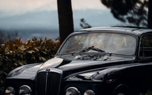 Immagine 7/51 di Lancia Aurelia B52 Bertone (1951)