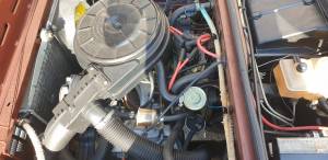 Bild 24/34 von Alfa Romeo Alfasud 1.2 ti (1981)