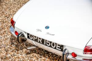 Immagine 6/35 di Alfa Romeo 1600 Spider Duetto (1967)