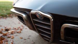 Image 20/51 of Alfa Romeo 1600 Spider Duetto (1966)