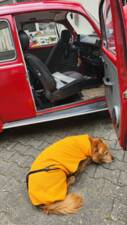 Afbeelding 17/64 van Volkswagen Käfer 1302 (1971)