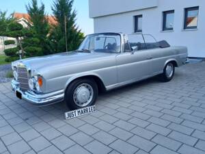 Bild 1/22 von Mercedes-Benz 280 SE (1968)