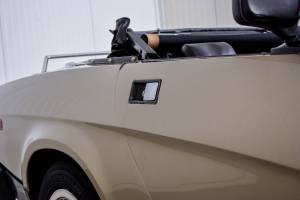 Immagine 13/50 di Triumph TR 8 (1980)
