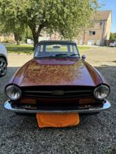 Imagen 3/8 de Triumph TR 6 (1974)