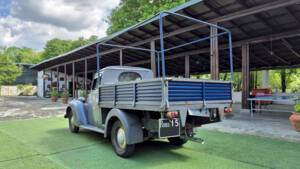 Image 14/35 of FIAT 1100 ELR (1952)