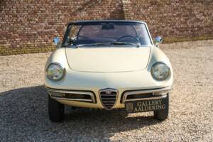 Image 24/50 of Alfa Romeo 1600 Duetto (1967)