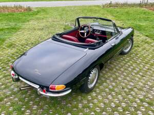 Bild 15/24 von Alfa Romeo 1600 Duetto (1966)
