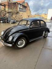 Image 1/8 of Volkswagen Beetle 1200 Standard "Oval" (1956)