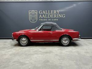 Bild 11/50 von Alfa Romeo Giulietta Spider Veloce (1959)