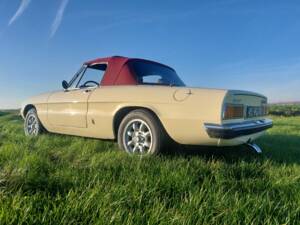 Afbeelding 6/12 van Alfa Romeo 2000 Spider Veloce (1978)