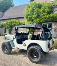 Obraz 8/20 pojazdu Willys CJ-3B (1956)