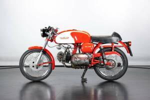 Bild 1/50 von Aermacchi DUMMY (1964)