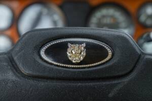 Bild 41/50 von Jaguar XJ 6 4.2 (1981)