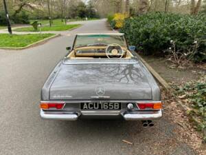 Afbeelding 38/50 van Mercedes-Benz 280 M-SL (1964)