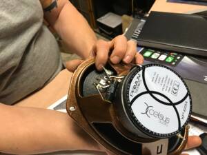 Imagen 48/51 de Rolls-Royce Silver Wraith (1953)