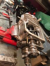 Afbeelding 80/100 van FIAT 500 L (1972)