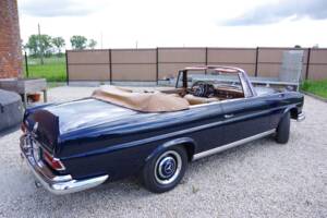 Afbeelding 5/32 van Mercedes-Benz 250 SE (1967)