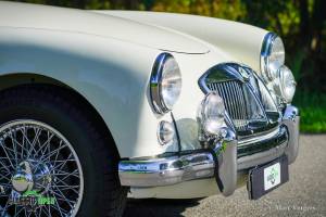 Bild 19/43 von MG MGA 1500 (1956)