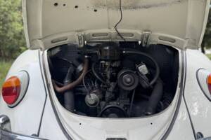 Image 24/27 of Volkswagen Beetle 1300 (1966)