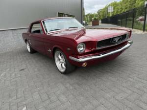 Bild 7/47 von Ford Shelby GT 350 (1966)