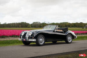 Bild 1/47 von Jaguar XK 140 DHC (1956)