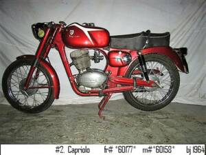 Image 10/10 of Capriolo DUMMY (1964)