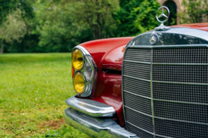 Image 10/99 of Mercedes-Benz 250 SE (1967)