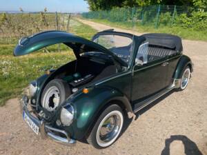 Bild 7/9 von Volkswagen Käfer 1300 (1966)