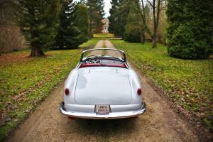 Image 8/16 of Lancia Aurelia B24 Convertible (1957)