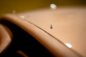 Image 37/50 of Jaguar XK 120 OTS (1952)
