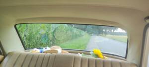 Bild 16/59 von Mercedes-Benz 230&#x2F;4 (1974)