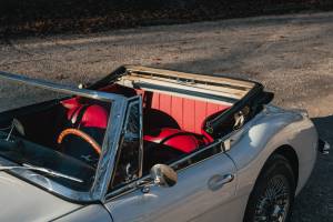 Bild 36/44 von Austin-Healey 3000 Mk III (BJ8) (1966)