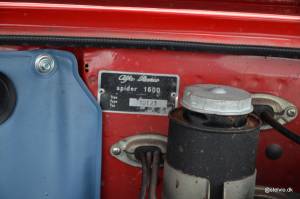 Bild 17/21 von Alfa Romeo Giulia 1600 Spider (1964)