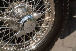 Image 25/58 of Jaguar XK 140 SE DHC (1955)