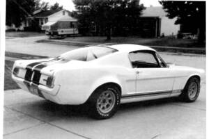 Afbeelding 37/48 van Ford Shelby GT 350 (1965)